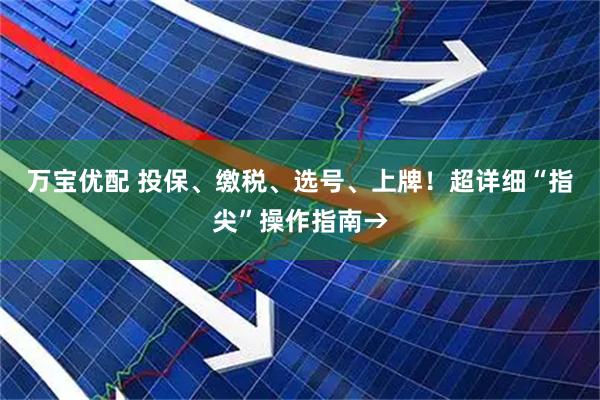 万宝优配 投保、缴税、选号、上牌！超详细“指尖”操作指南→