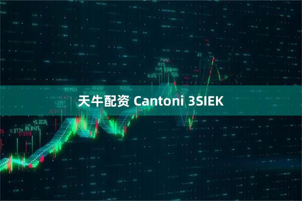 天牛配资 Cantoni 3SIEK